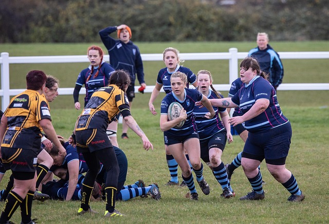 场稳健组织 场稳健组织