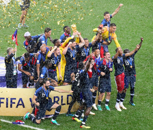 丰富的组织 丰富的组织